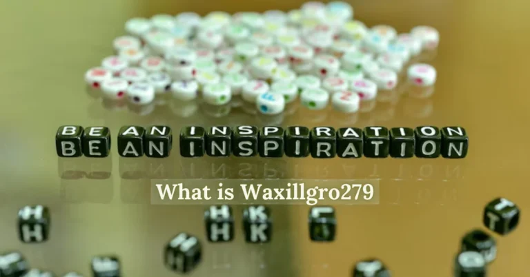 What is Waxillgro279