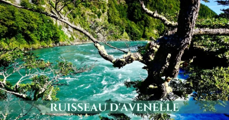 ruisseau d'avenelle